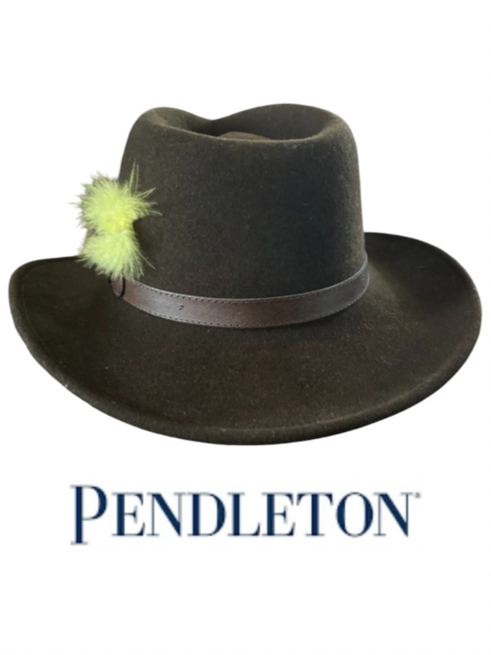Vintage PENDLETON Brown Wool Cowboy Hat with Leather Band & Feather Accent